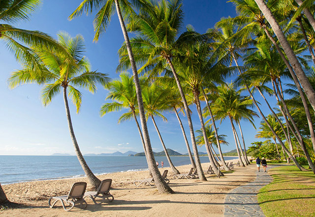 Photo of the beach at Palm Cove Queensland
